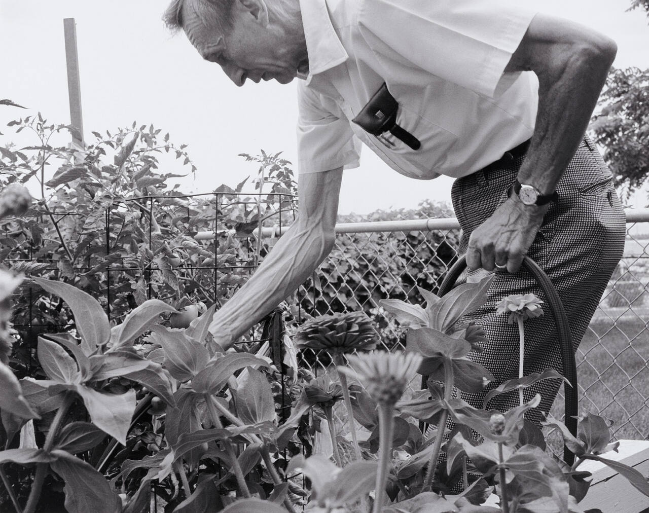GED in the Garden 7/91