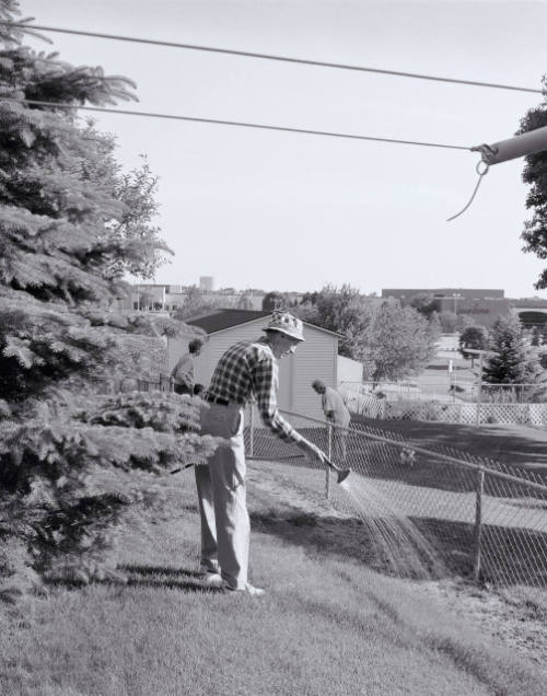 Watering by the Back Fence