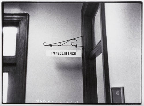 Untitled (Intelligence)
