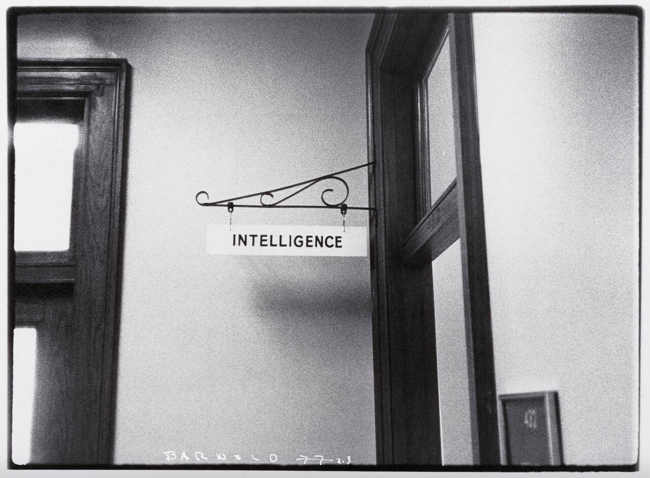 Untitled (Intelligence)