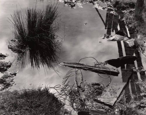 Pond, Meyer's Ranch, Yosemite