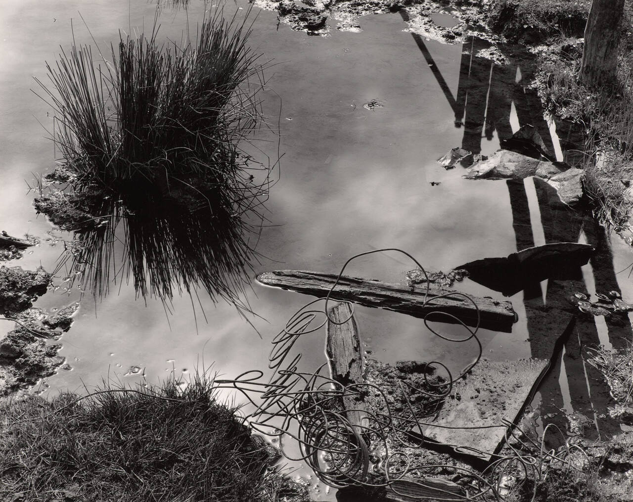 Pond, Meyer's Ranch, Yosemite