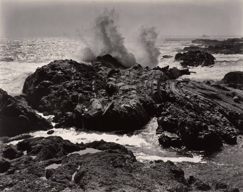 Surf, Point Lobos