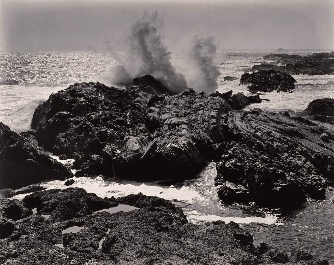 Surf, Point Lobos