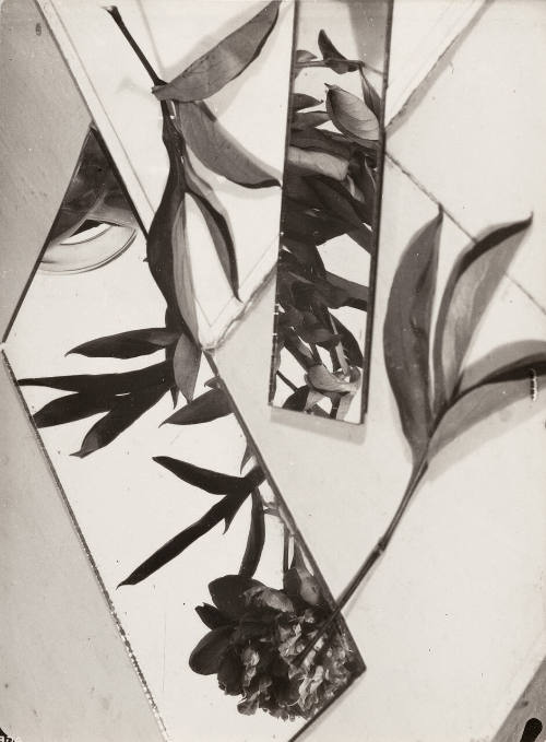 Composition, Nature Morte