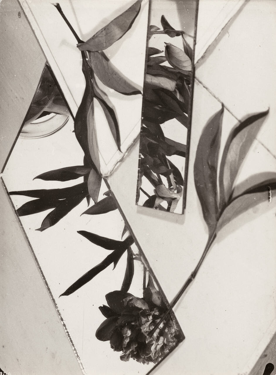 Composition, Nature Morte