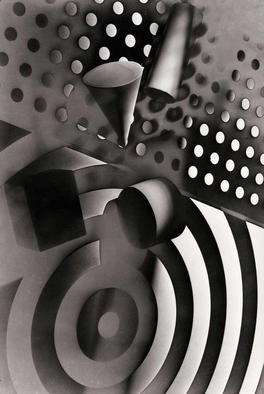 Untitled (Camouflage Exercise)