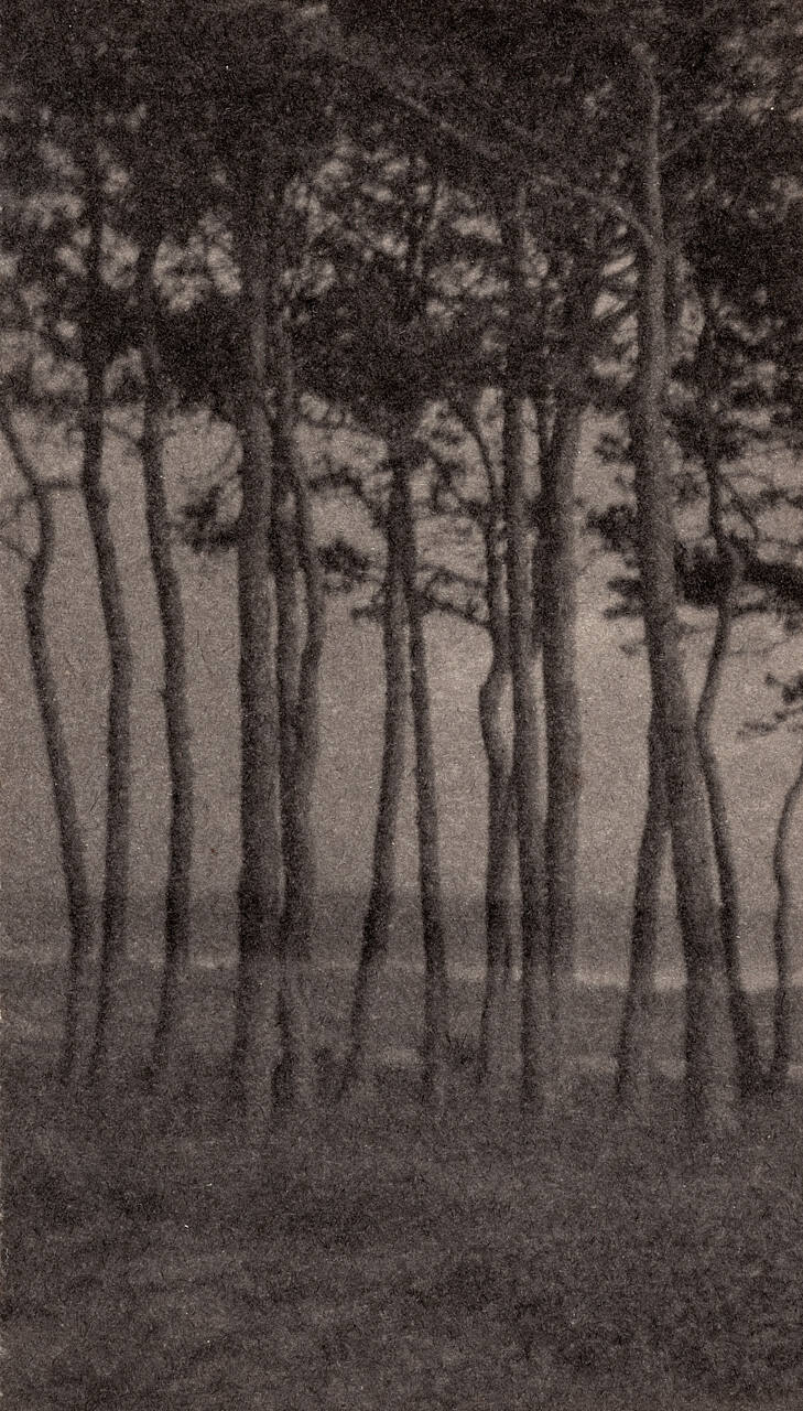 Trees