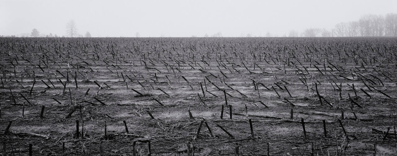 Southern Illinois