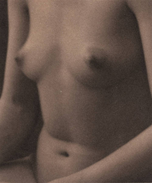 Torso--Semi Abstraction