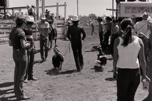 Pygmy Cowboys, Strong City Rodeo