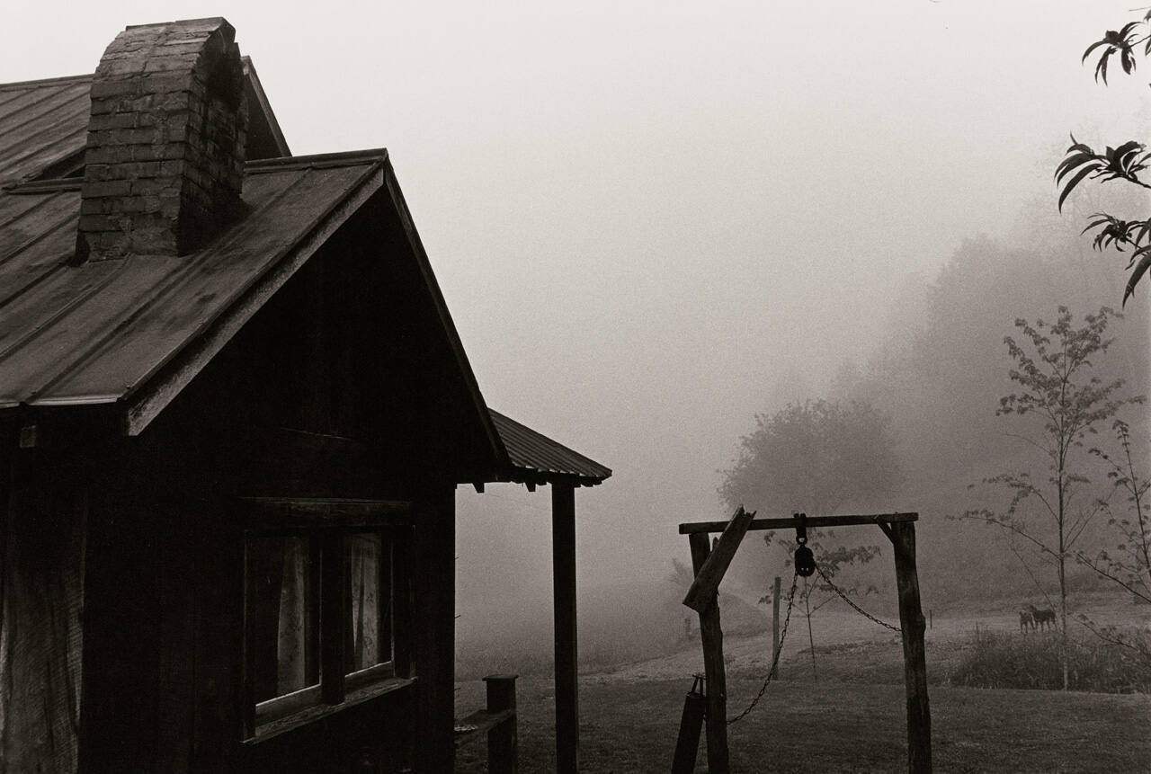 Early Morning
