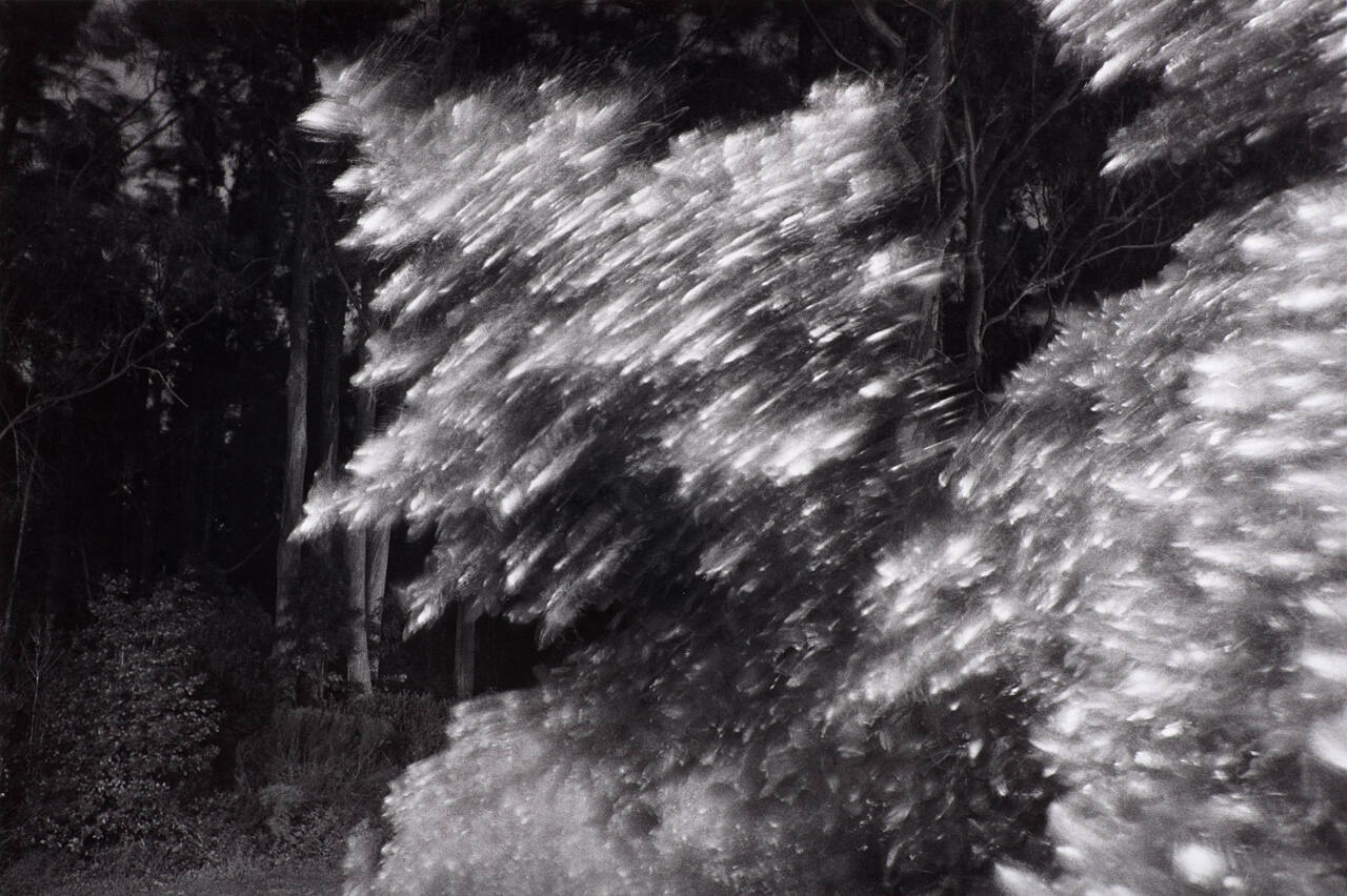 San Francisco, from "Night Works"