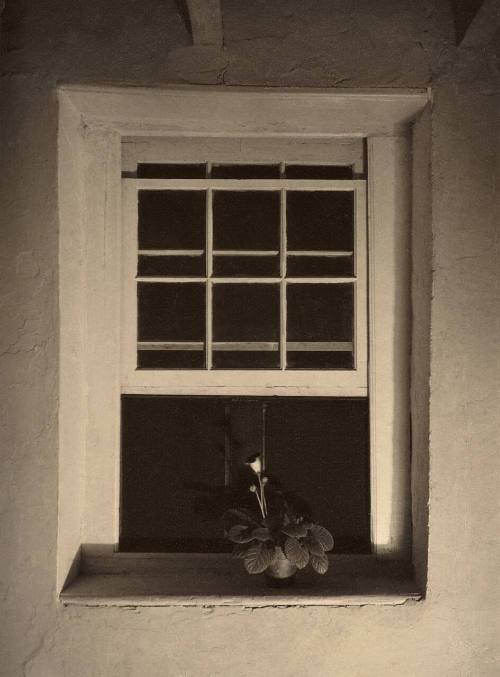 Doylestown House—Open Window