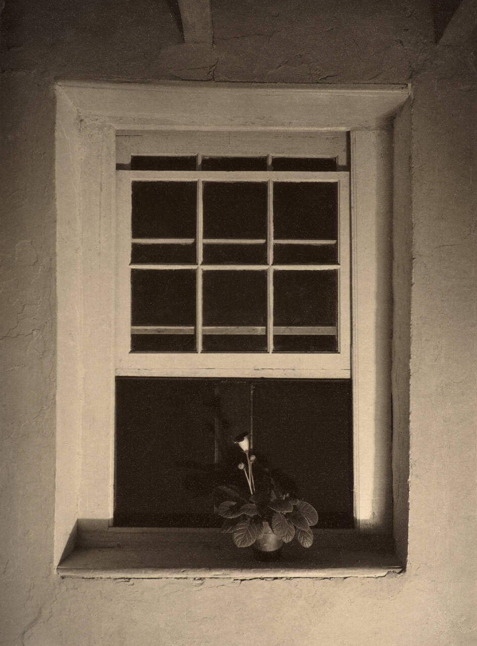 Doylestown House—Open Window