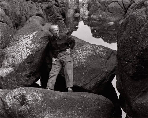 Edward Weston, Point Lobos