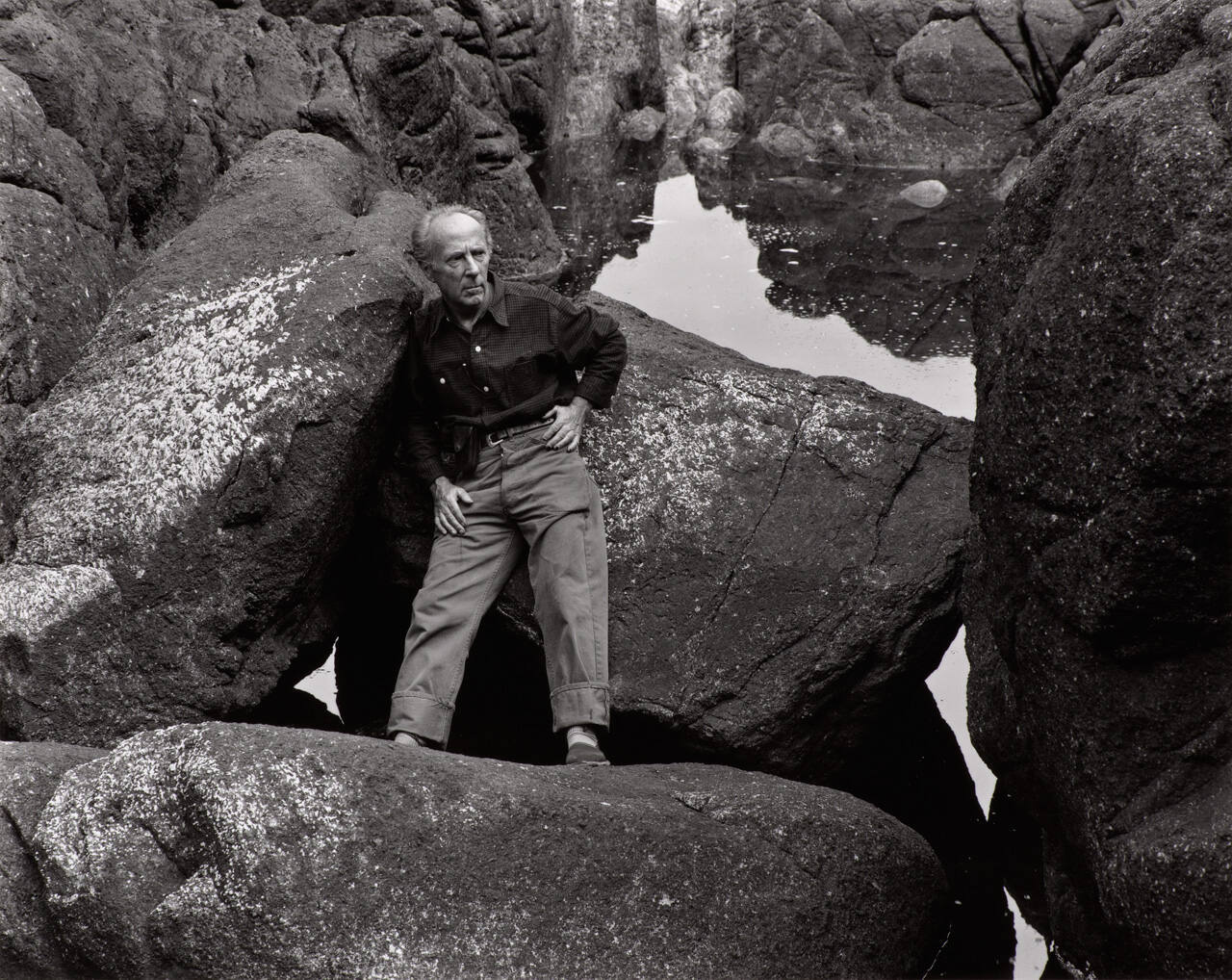 Edward Weston, Point Lobos