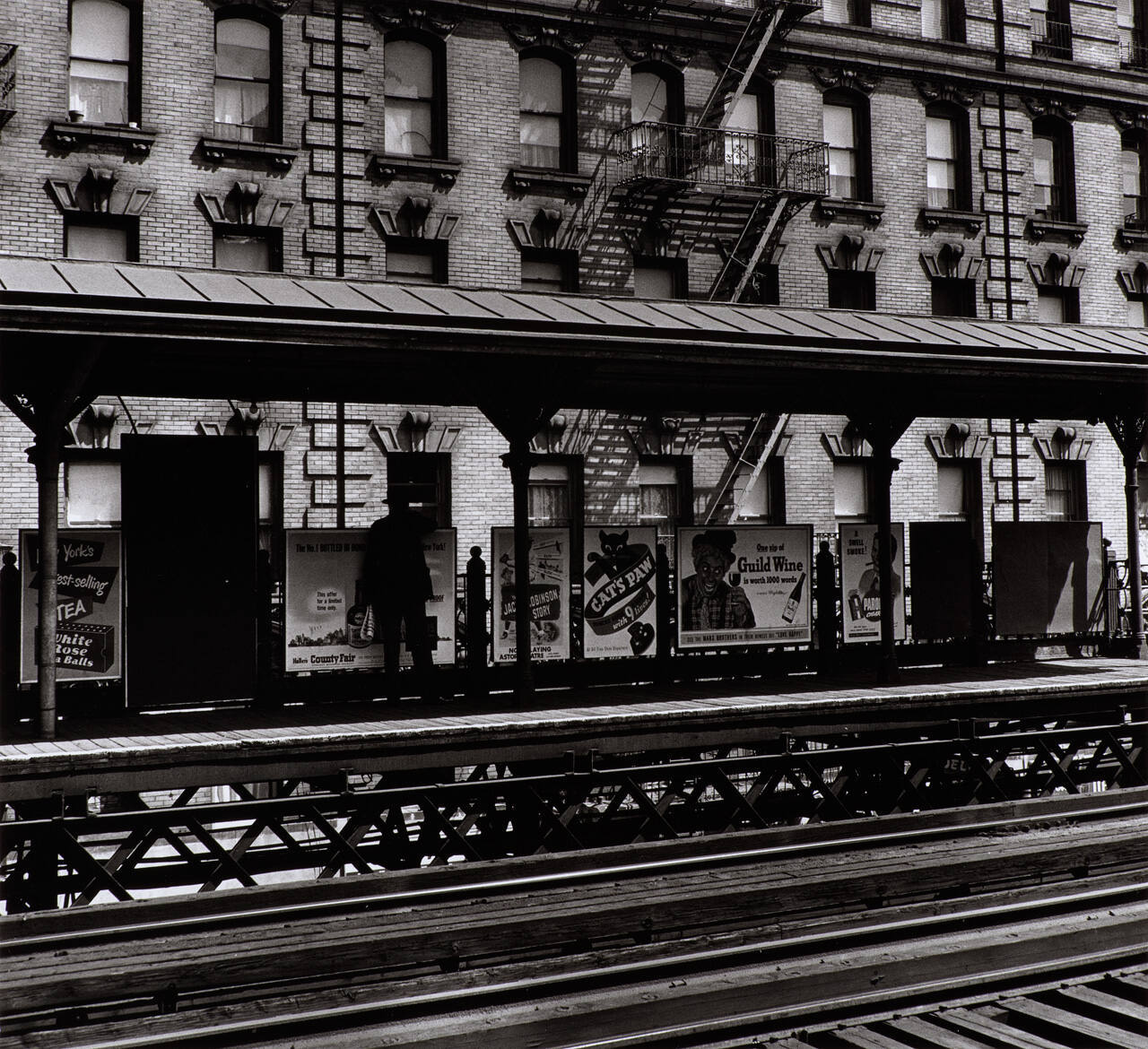 Cat's Paw on the "L" Station, N.Y.C.