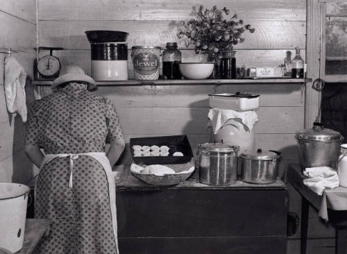 Marion Post Wolcott