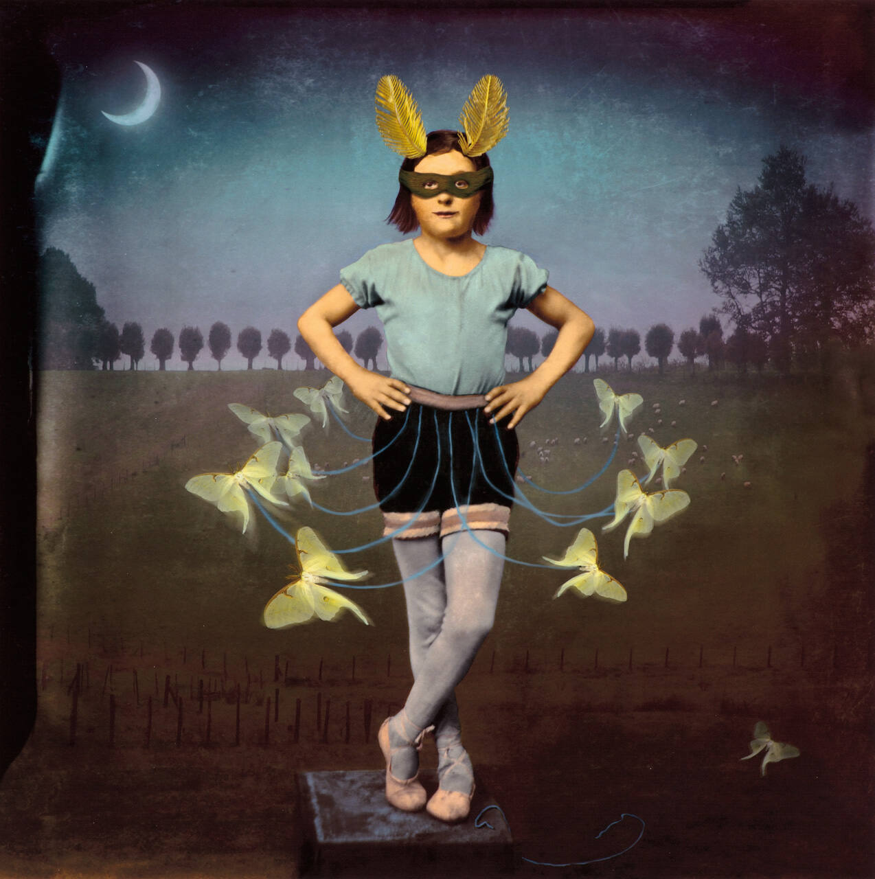 Moth Dancer
