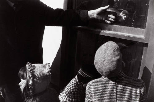 New York City, 1963: Monkey and Hand