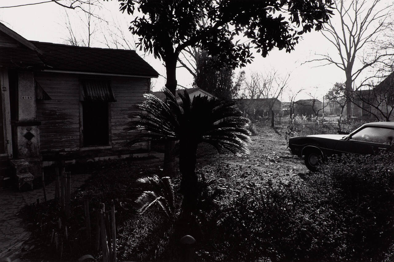 House and Palmetto