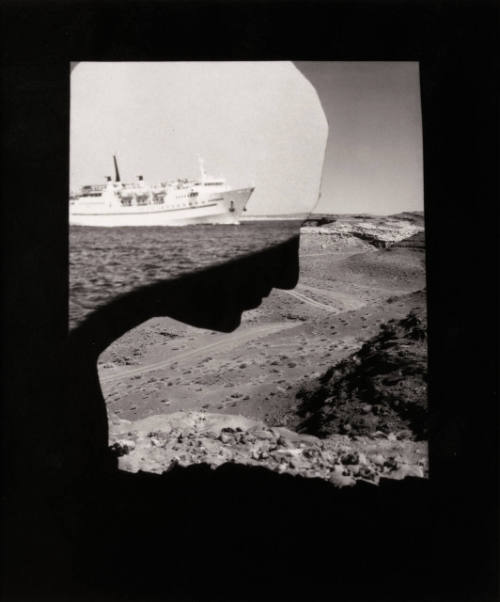 White Ship