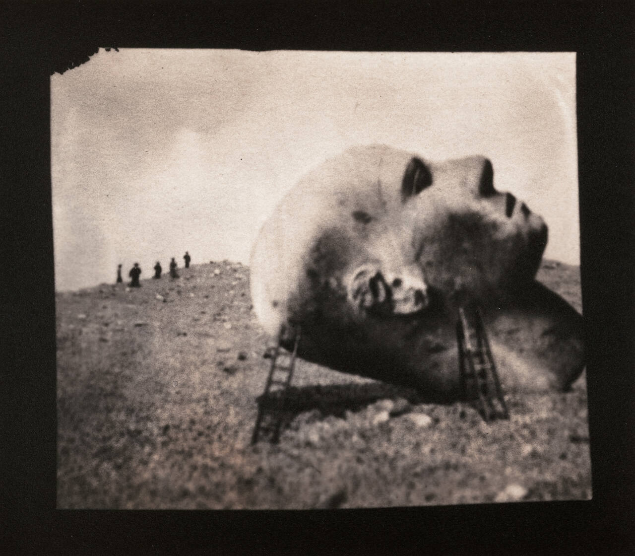 Head with Ladders