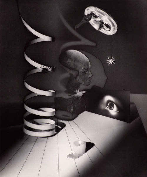 Untitled (surreal still life)