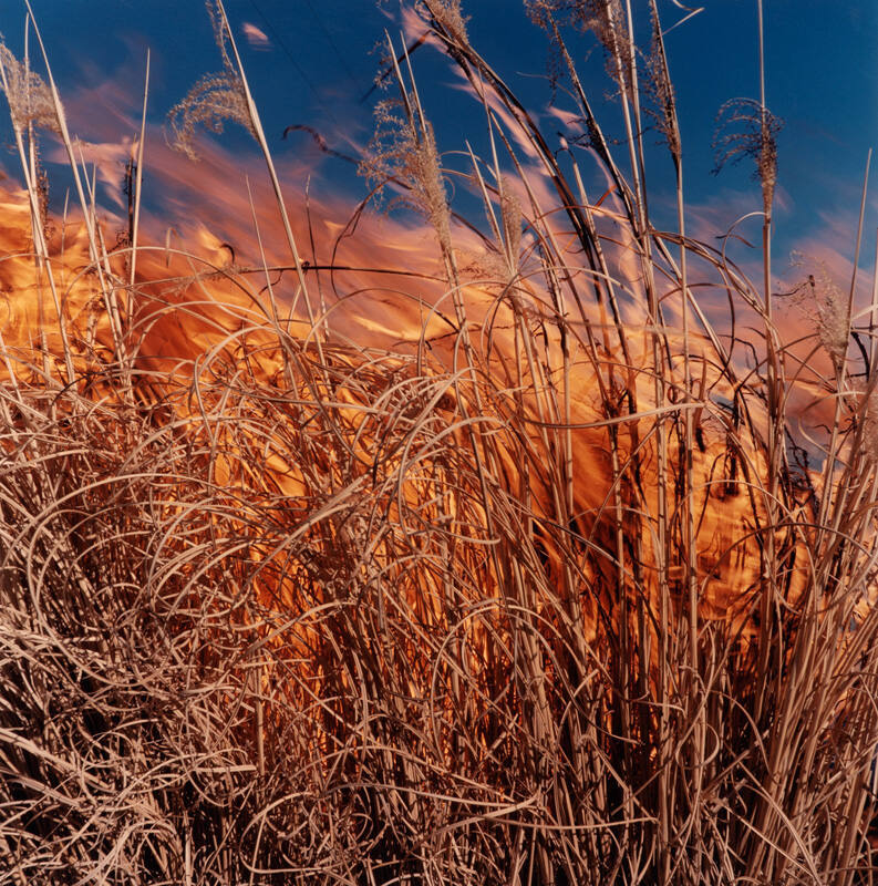 Burning Grasses, Lyon County, Kansas