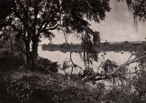 Savannah River, near Savannah, Georgia
