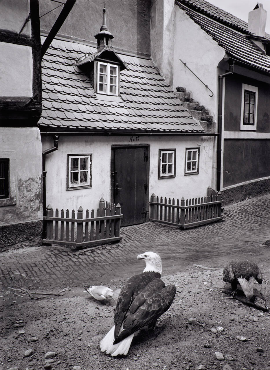 Untitled (eagle/small house in Prague)