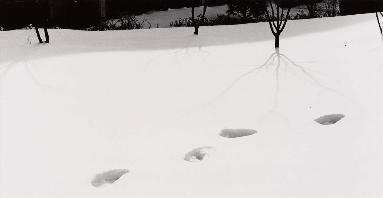 Untitled (tracks in snow)
