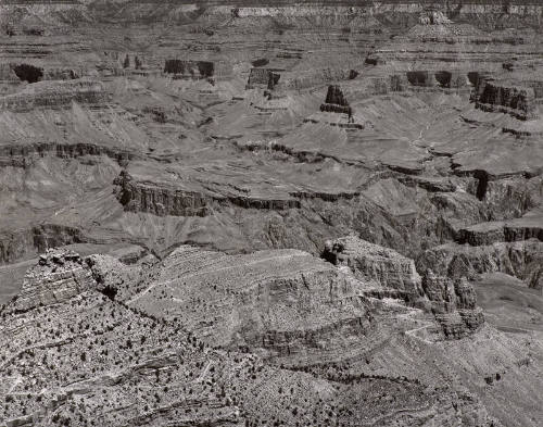 Colorado River Landscape