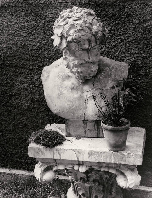Abandoned Statue, Paris