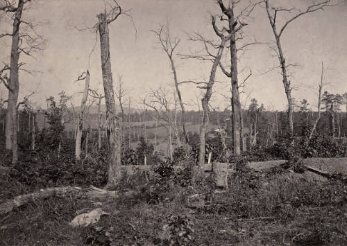 Battle Ground of Resacca, Georgia No. 3