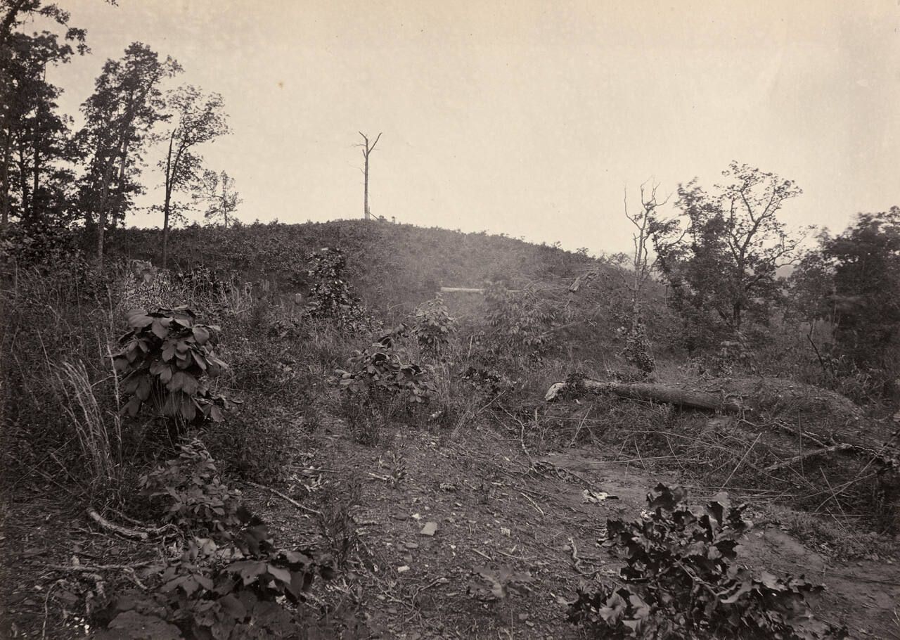 Pine Mountain