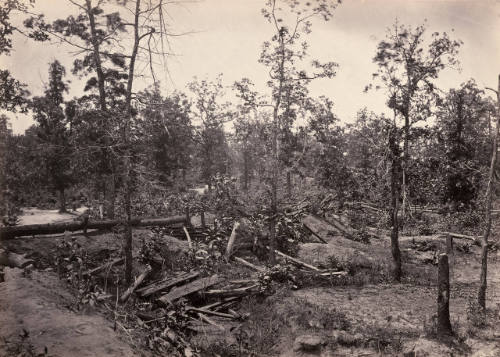 Battlefield of Atlanta, Georgia, July 22, 1864, No. 1