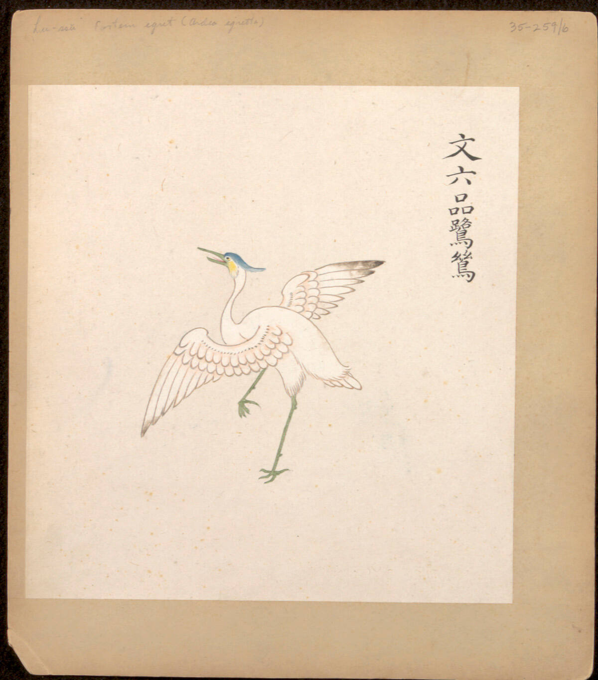 Illustrated Insignias