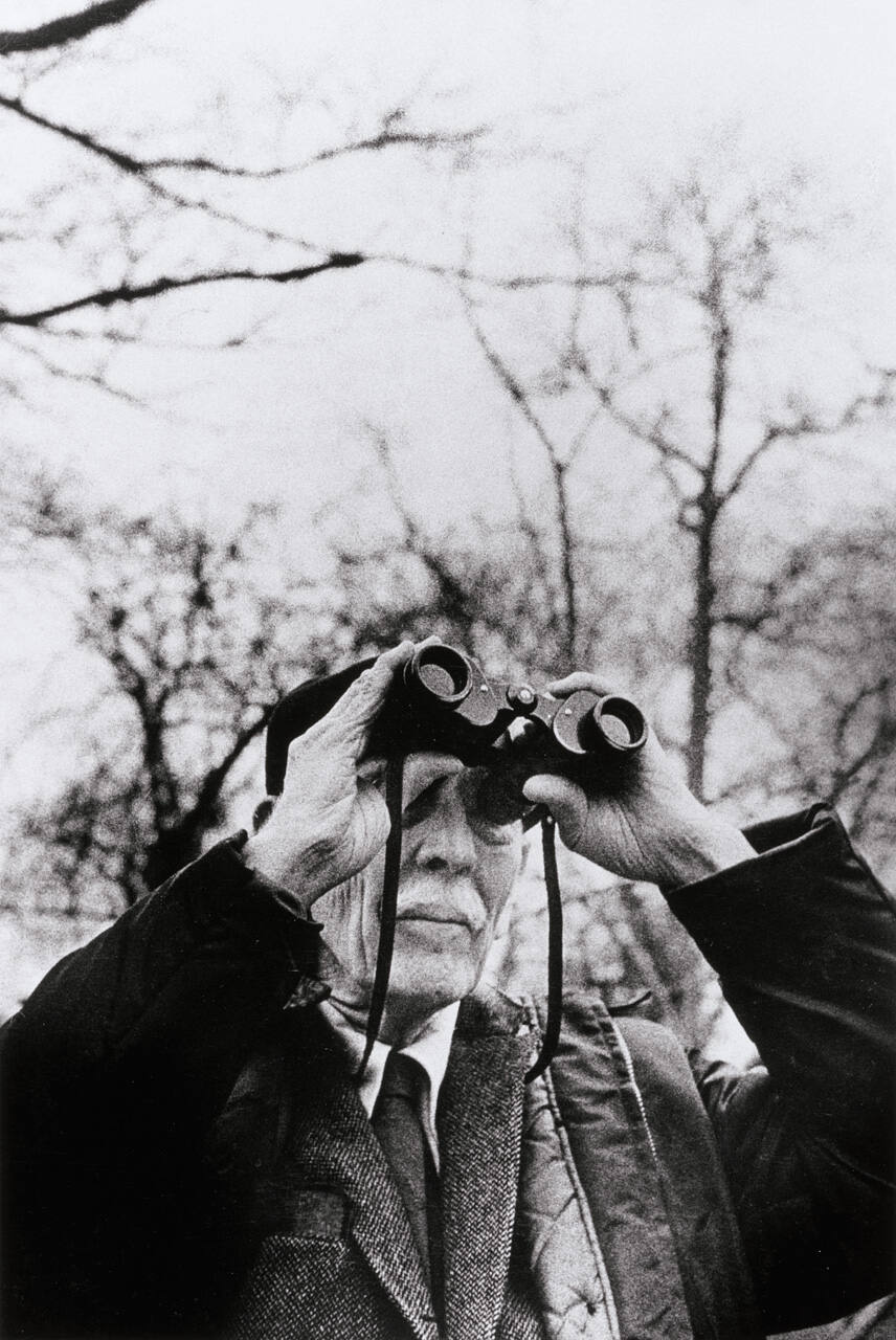 Bird Watcher, Central Park, NY