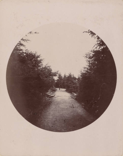 Alaska archive