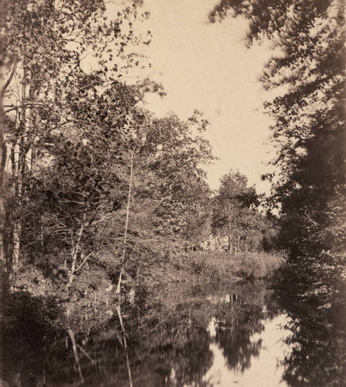 The Dell, Looking Up The Pocanteco