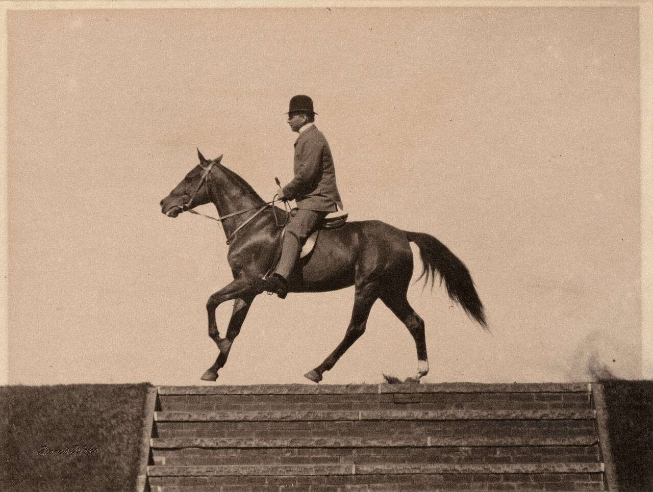 'Cow Pony' at Sharp Canter