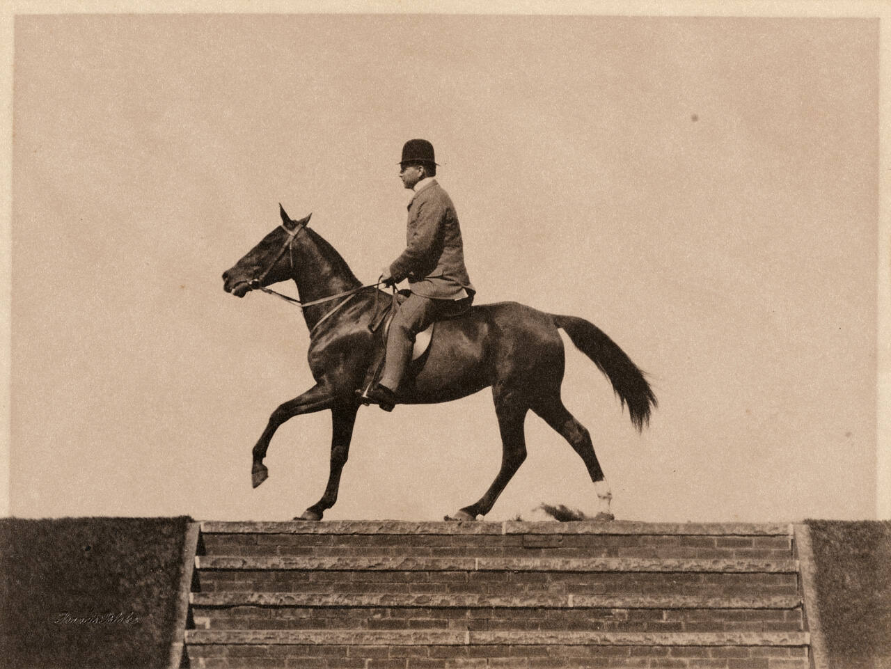 'Cow Pony' at Sharp Canter