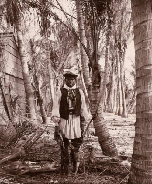 Seminole with Fawn
