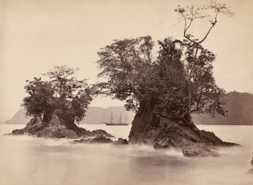 Tropical Scenery, Limon Bay, High Tide