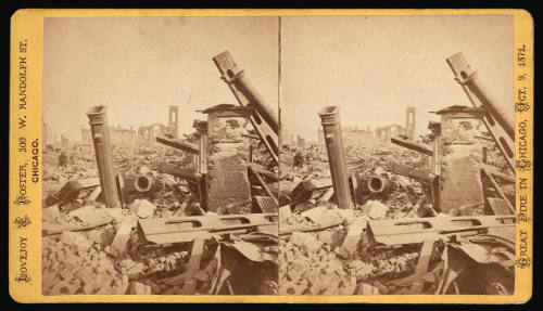 Ruins of the Mammoth Store of Field and Leiter