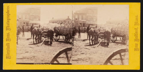 Bierstadt Brothers