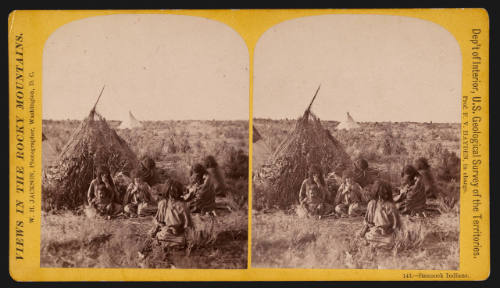 Bannock Indians