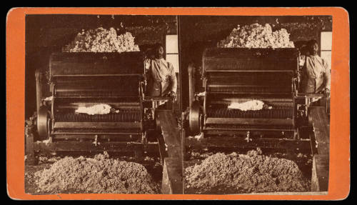 Cotton Gin